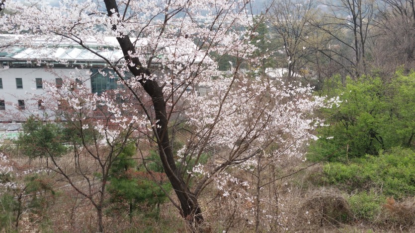 20150406_103139.jpg