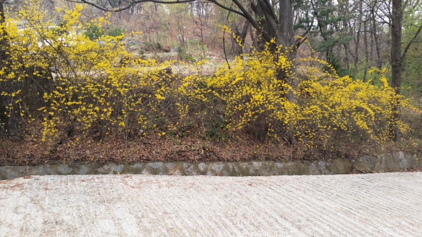 20150406_103041.jpg